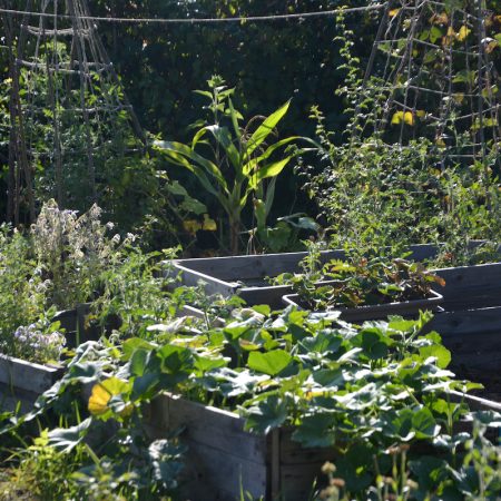 Jardin1 kopie